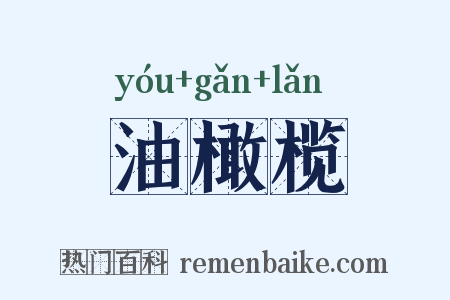 油橄榄是什么意思的图片